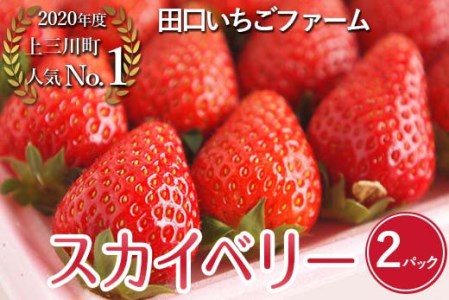 �c���������t�@�[���� ������ �X�J�C�x���[ ��2026�N1�����{�`2�����{���ɏ��������\�� ���k�C���A����A�l���A��B�A�����ւ̔z���s��