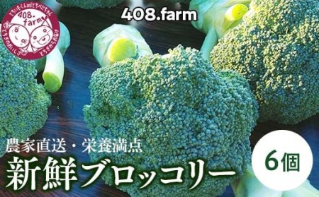 農家直送・栄養満点☆新鮮ブロッコリー！ ※2024年11月中旬頃～順次発送予定◇