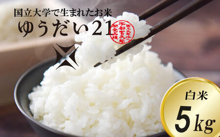 ＼令和7年産・先行予約／【数量限定】あい　farm　やなぎのお米　令和7年産 ゆうだい21 白米 5kg | 栃木県 益子町 ふるさと納税 お米 米 5kg 白米 (DQ006)