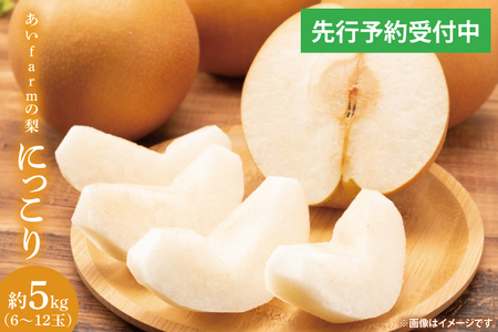 【先行予約】【数量限定】あい farm の梨 にっこり 5kg (6～12玉) | 10月中旬より順次発送 梨 なし フルーツ 果物 新鮮 旬 梨園 益子町産 (DQ004)