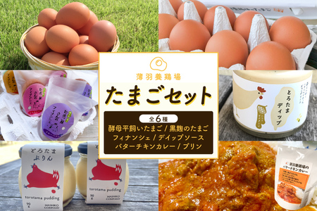 ＼薄羽養鶏場の濃厚たまごを使用/ たまごセット 濃厚たまご&絶品加工品 6点セット