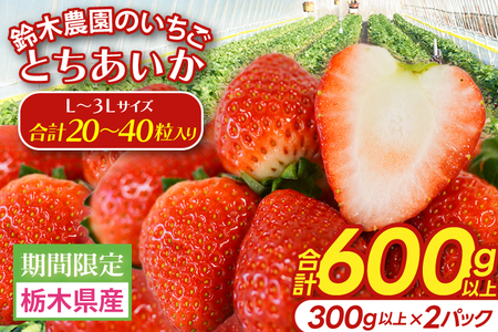 [合計20〜40粒入り]いちご とちあいか 600g以上 (300g以上×2パック)