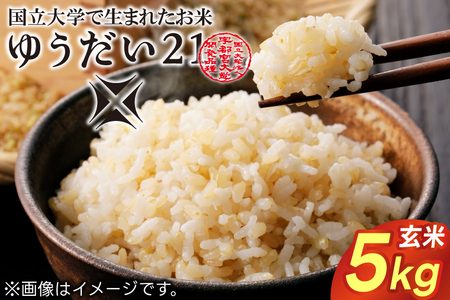 令和7年産 ゆうだい21 玄米 5kg