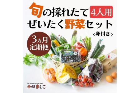 [3ヶ月定期便]旬の採れたてぜいたく野菜セット(卵付き)4人用 益子町 ふるさと納税 野菜セット 野菜 やさい セット 採れたて 卵 たまご 定期便