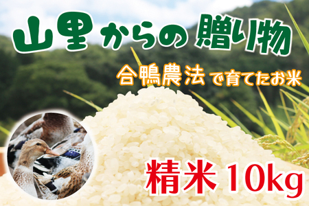 山里からの贈り物 合鴨農法 令和5年産 米 精米 10kg
