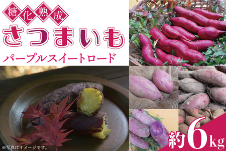 さつまいも 約6kg パープルスイートロード 益子町