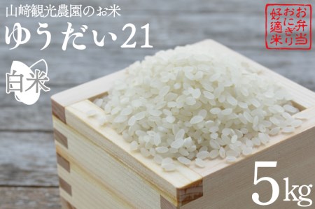 山﨑観光農園のお米 令和5年産 ゆうだい21 白米5kg