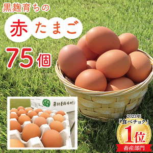 ＼大容量/黒麹育ちの赤たまご75個|栃木県 益子町 ふるさと納税 たまご 卵 タマゴ 赤たまご 人気 濃厚 食べチョク