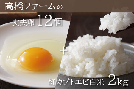 たまご 12個 & 白米 2kg 平飼い もみじ
