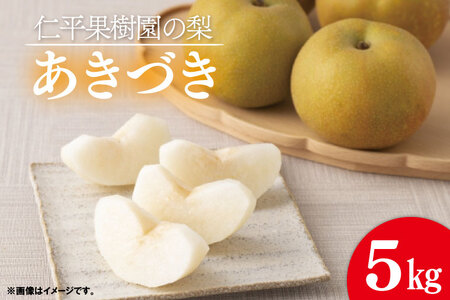★先行予約★ 2026年9月発送「あきづき」5kg 仁平果樹園 益子町 DB003