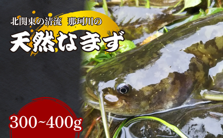天然なまず(切り身) 北関東の清流「那珂川産」 300g〜400g 真空冷凍 | ナマズ ナマズ ナマズ ナマズ ナマズ