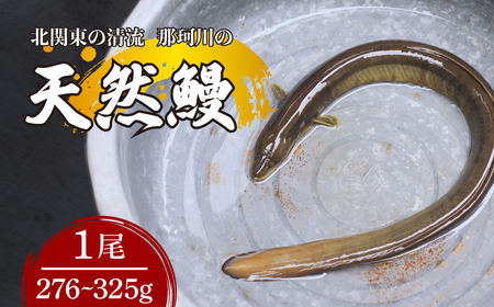 Ȃ VRV k֓̐u߉ϐYv ^Ⓚ 1 276`325g | Ȃ Ȃ Ȃ Ȃ Ȃ