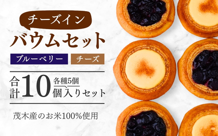 バームクーヘン 米粉100%使用 チーズ&ブルーベリーバウムセット 10個(5個×2種) | バウムクーヘン バウムクーヘン バウムクーヘン バウムクーヘン バウムクーヘン