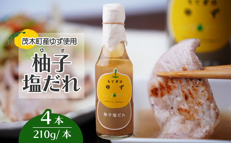 茂木産ゆずを使用! 柚子塩だれ 210g×4本 保存料・着色料・香料不使用 | ゆず ゆず ゆず ゆず ゆず