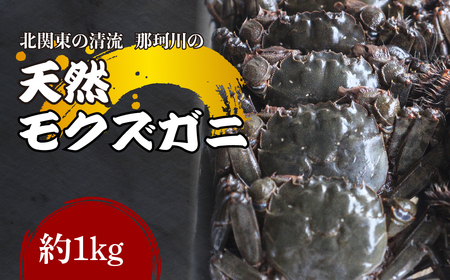 天然モクズガニ 北関東の清流「那珂川産」 1kg(5〜10匹) 冷凍 | カニ カニ カニ カニ カニ