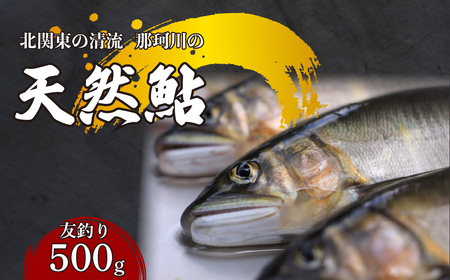 天然鮎(友釣り) 北関東の清流「那珂川産」 500g 真空冷凍 | 鮎 鮎 鮎 鮎 鮎