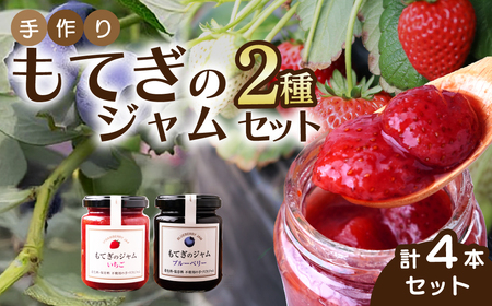茂木産果実100%使用! イチゴ&ブルーベリージャム 160g×4本 保存料・着色料・香料不使用 | ジャム ジャム ジャム ジャム ジャム