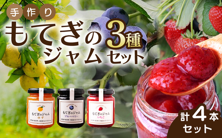 茂木産果実100%使用! イチゴ&ブルーベリー&ゆずジャム 160g×4本 保存料・着色料・香料不使用 | ジャム ジャム ジャム ジャム ジャム