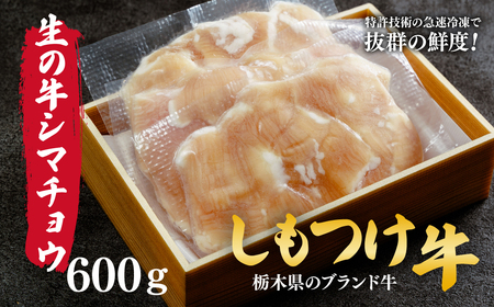 しもつけ牛 希少な国産牛の生シマチョウ600g | ホルモン ホルモン ホルモン ホルモン ホルモン