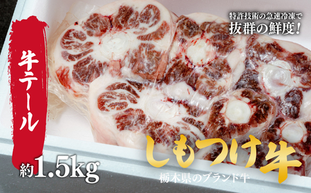しもつけ牛 国産牛のテール肉約1.5kg | 牛肉 牛肉 牛肉 牛テール 国産牛 牛肉 牛肉