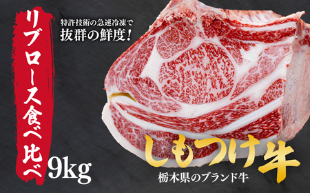 しもつけ牛のリブロース 部位食べ比べ9kg | 牛肉 牛肉 リブロース 牛肉 牛肉 牛肉 食べ比べ