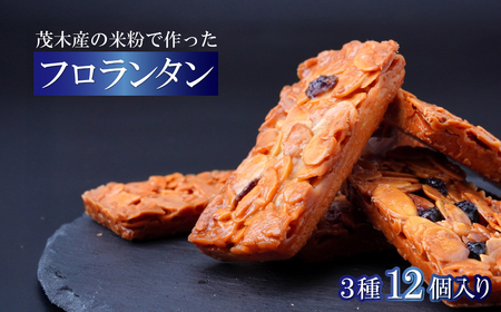 フロランタン 茂木町産米粉100% 12個 セット | フロランタン フロランタン フロランタン フロランタン フロランタン