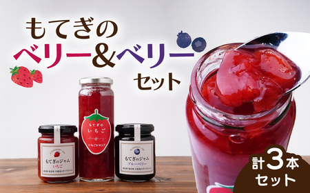 もてぎのベリー&ベリーセット | ブルｰベリｰ ブルｰベリｰ ブルｰベリｰ ブルｰベリｰ ブルｰベリｰ