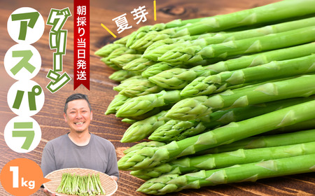 [ふるなび限定]アスパラガス 朝採れ!新鮮!グリーンアスパラ 1kg | アスパラガス アスパラガス アスパラガス アスパラガス アスパラガス FN-Limited