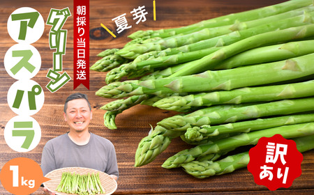 アスパラガス 朝採れ!新鮮!訳ありグリーンアスパラガス B品 1kg | アスパラガス アスパラガス アスパラガス アスパラガス アスパラガス