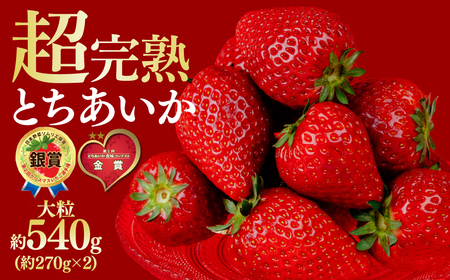 y1{ȍ~ẑƂ 嗱 270g × 2pbN v 540g |C`S 