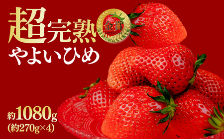 y1{ȍ~ẑ悢Ђ M[TCY 270g × 4pbN v 1080g |C`S 