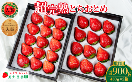 いちご[1月中旬以降発送]とちおとめ ギフト 900g | イチゴ 栃木県 茂木町