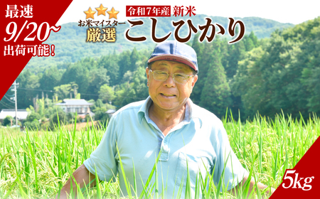 令和7年度新米 お米マイスター厳選!茂木百騎米 コシヒカリ5kg |精米 コシヒカリ 栃木県 茂木町