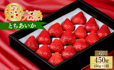 y2ȍ~zƂ Mtg v450g | C`S Ȗ، Ζؒ