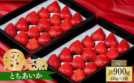 y2ȍ~zƂ Mtg v900g | C`S Ȗ، Ζؒ