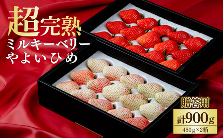 y2ȍ~z悢Ђ×~L[x[ Mtg 900g | C`S Ȗ، Ζؒ