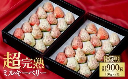 いちご[1月中旬以降発送]ミルキーベリー ギフト 900g | イチゴ 栃木県 茂木町