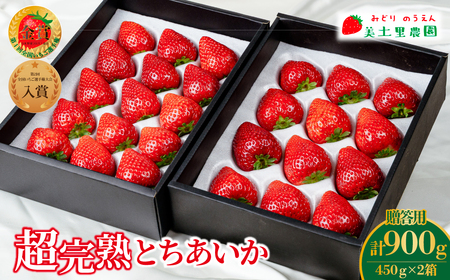 y3ȍ~zƂ Mtg 900g | C`S Ȗ، Ζؒ