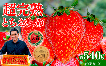 y3zƂƂ M[ v540g |C`S Ȗ، Ζؒ