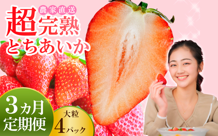 ������ �����3�� ���n �Ƃ������� �嗱 ��1080g | �C�`�S �嗱 �Ȗ،� �Ζؒ�