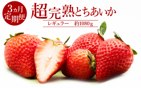 ������ �����3�� ���n �Ƃ������� ��1080g | �C�`�S ���n �Ȗ،� �Ζؒ�