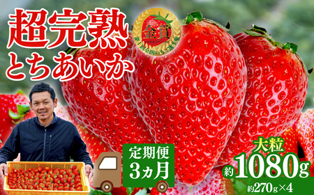 �������������3�� �Ƃ������� �嗱  ��1080g | �C�`�S �嗱 �Ȗ،� �Ζؒ�