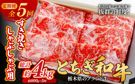 [定期便5回]とちぎ和牛のすき焼き・しゃぶしゃぶ用 800g×5回 計約4kg[栃木県共通返礼品]| 和牛 定期便 栃木県 茂木町