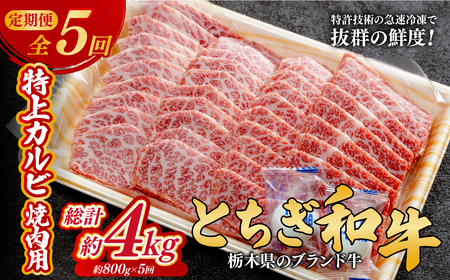 [定期便5回]とちぎ和牛の特上カルビ 焼肉用 800g × 5回[栃木県共通返礼品]| 和牛 定期便 栃木県 茂木町
