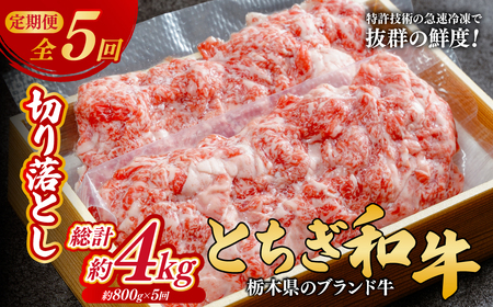 [定期便5回]とちぎ和牛の切り落とし 800g × 5回 総計約4kg[栃木県共通返礼品]| 和牛 定期便 栃木県 茂木町