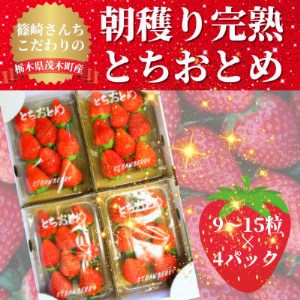 [1月から順次発送]篠崎さんちのいちご もてぎの完熟とちおとめ(9〜15粒×4パック)[配送不可地域:離島・北海道・沖縄県・九州]