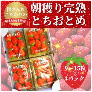 [1月から順次発送]関さんちのこだわりいちご 朝穫り完熟とちおとめ(9〜15粒×4パック)[配送不可地域:離島・北海道・沖縄県・九州]