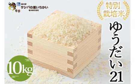 sLY ʍ͔|āq䂤21r10kg b Y Ȗ،Y  ʍ͔|   Ȗؕ Ƃ ւ̔zs 9{菇\