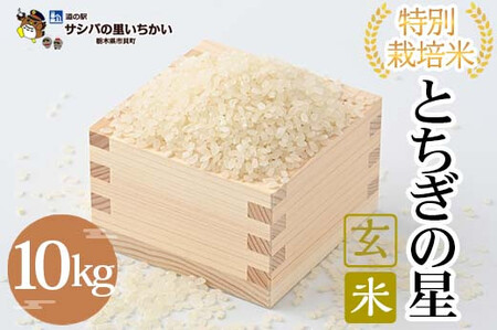 特別栽培米 玄米[とちぎの星]10kg ≪米 お米 白米 ご飯 栃木県産≫ ※離島への配送不可 ※9月中旬頃より順次発送予定