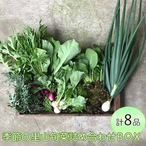 わたね 季節の里山旬菜詰め合わせBOX(計8品)≪ギフト セット 野菜 無農薬 グルメ≫